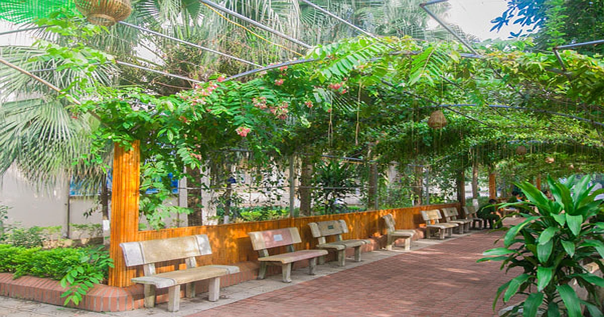 Cách tra cứu kết quả thi VSTEP Học viện Cảnh sát Nhân dân (PPA)