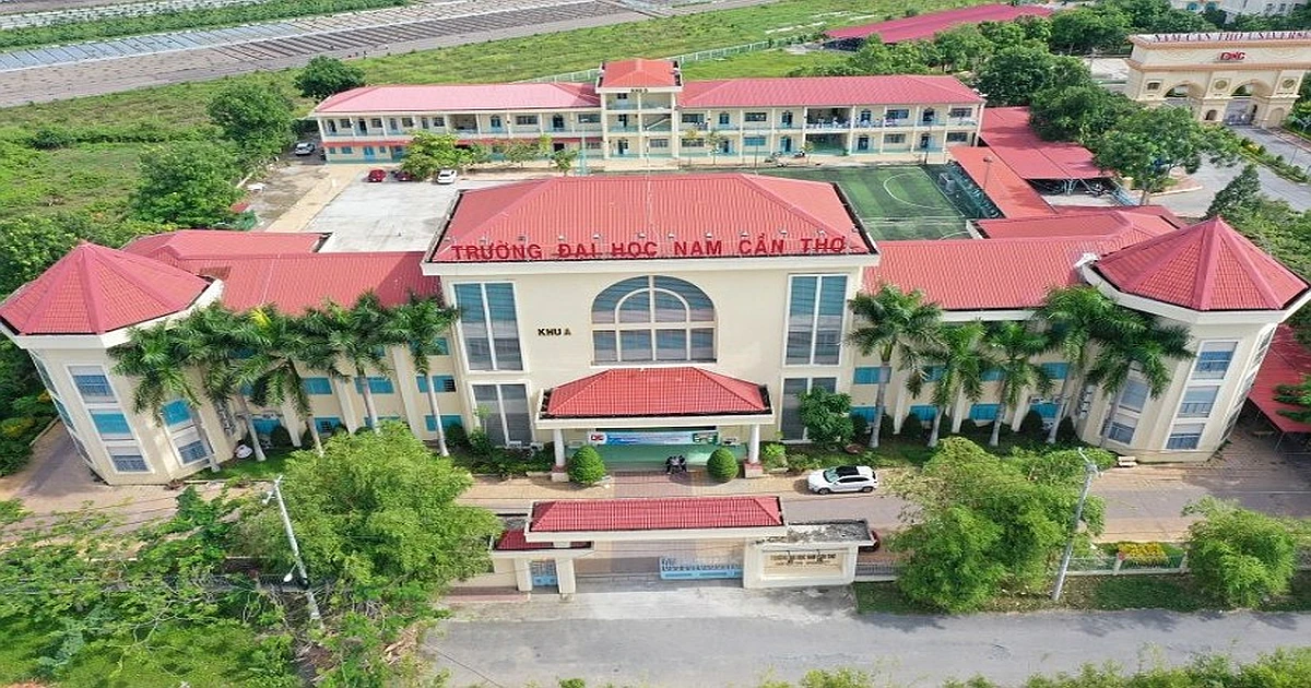 Giới thiệu kỳ thi VSTEP Trường Đại học Nam Cần Thơ (DNC)
