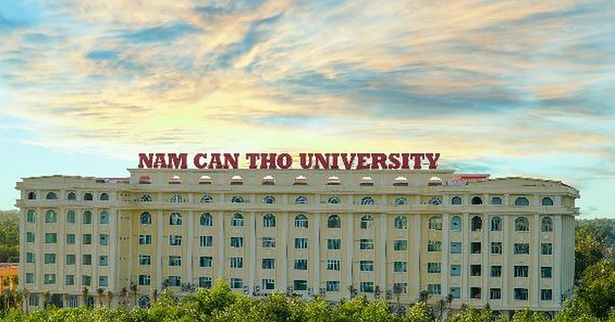 Lịch thi VSTEP Trường Đại học Nam Cần Thơ (DNC) năm 2026