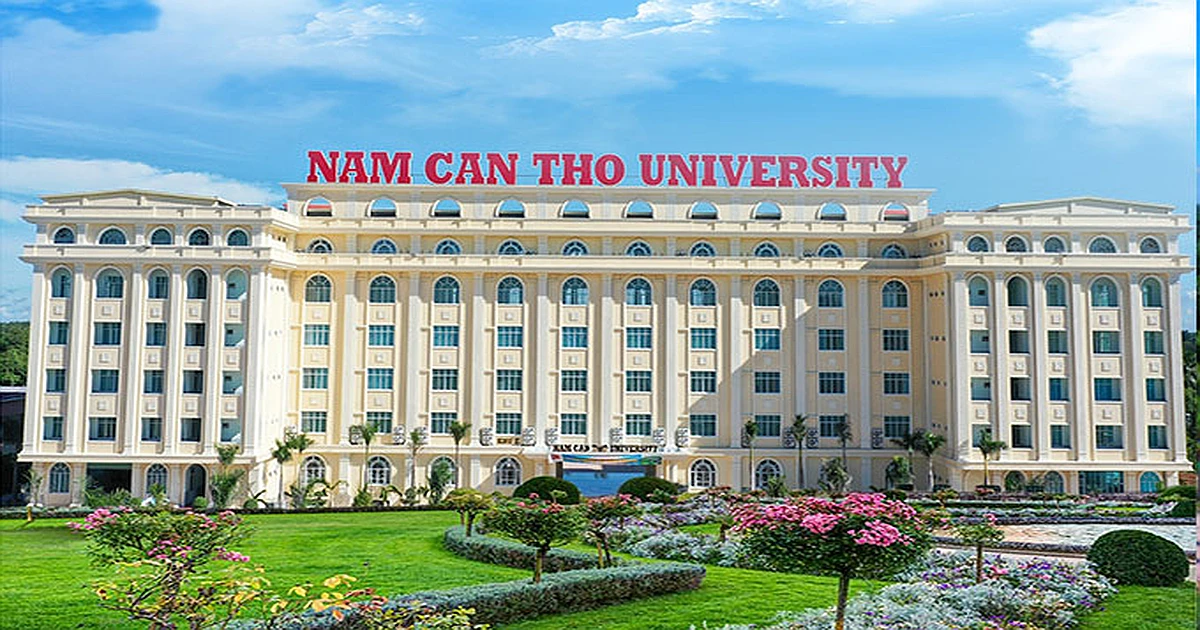 Cách tra cứu kết quả thi VSTEP Trường Đại học Nam Cần Thơ (DNC)