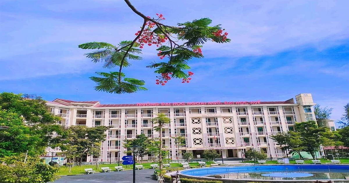 Khóa học ôn thi VSTEP hiệu quả tại ĐH Ngoại ngữ - ĐH Huế (HUCFL)