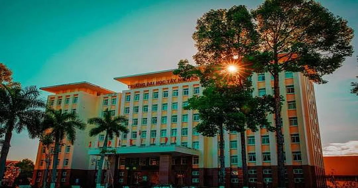 Khóa học ôn thi VSTEP tại ĐH Tây Nguyên (TTN)