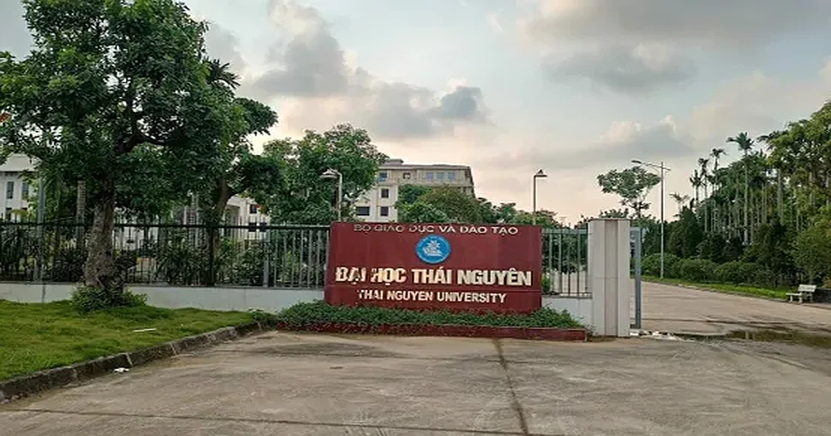 Kinh nghiệm thi VSTEP tại Đại học Thái Nguyên (TNU)