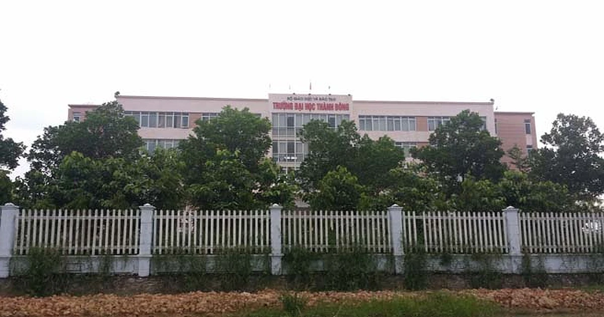 Kinh nghiệm thi VSTEP tại Trường Đại học Thành Đông (TDU)
